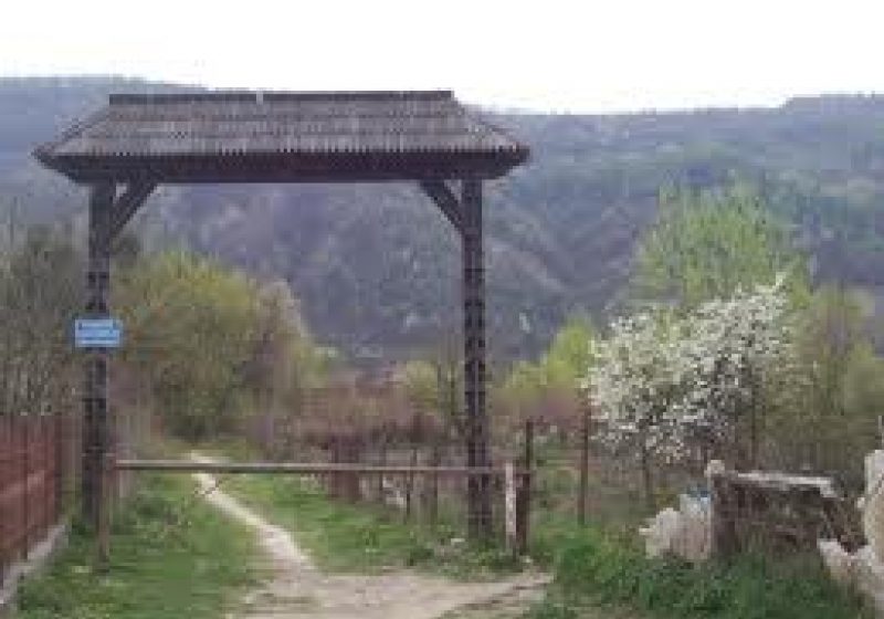 SIGHET: Parcul Dendrologic rămâne, deocamdată, la Ocolul Silvic