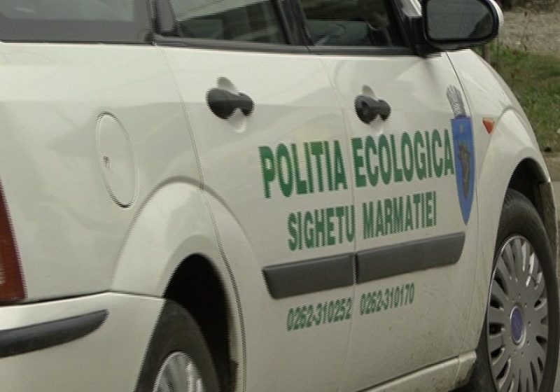 SIGHET: Autorităţile au verificat sesizarea făcută de Fundaţia Vier Pfoten, legată de câinii morţi din zona Câmpu Negru – nu se confirmă
