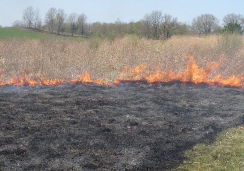 INCENDIU ÎN MUNŢI: Pompierii s-au luptat cu flăcările la o altitudine de 1 300 m, pe Vârful Pleşca