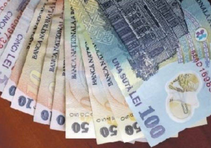 MĂSURI FINANCIARE: Comisia Europeană nu va reduce plăţile directe din agricultură pentru 2014 decât cu 2,45%