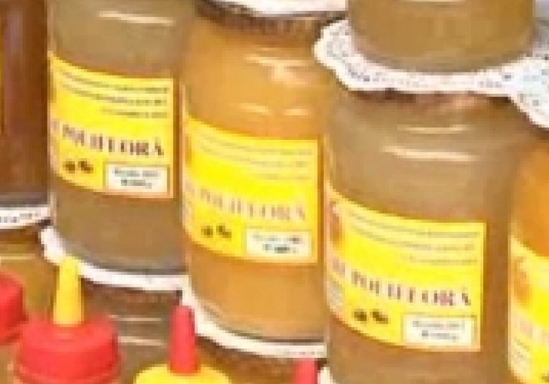MARAMUREŞ: S-a sistat distribuirea mierii din pachetele cu alimentele din partea UE