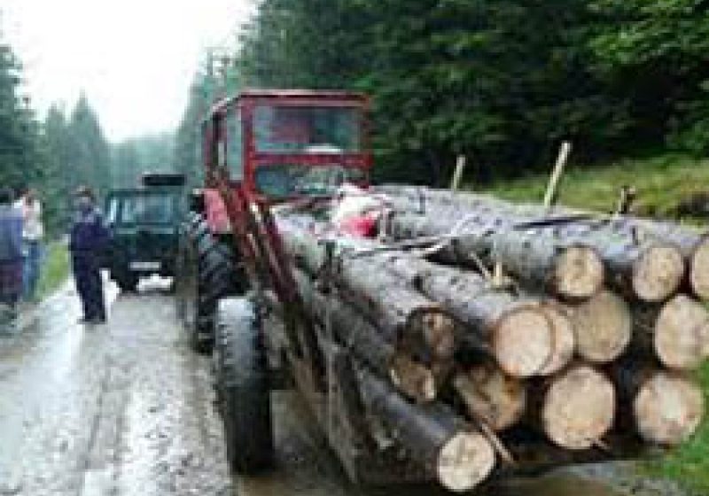 POIENILE IZEI: Trei bărbaţi din Budeşti prinşi în timp ce încercau să transporte ilegal trei tractoare cu lemne