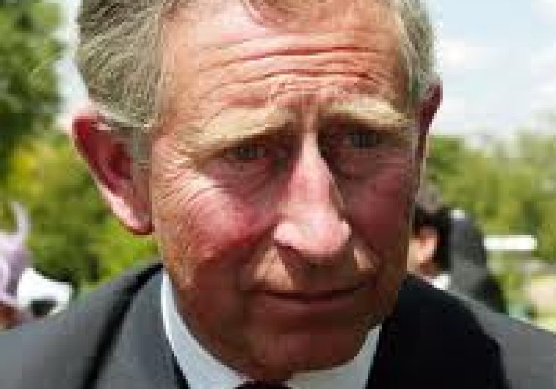 PRINŢUL CHARLES: România pierde 3 hectare de pădure virgină pe oră