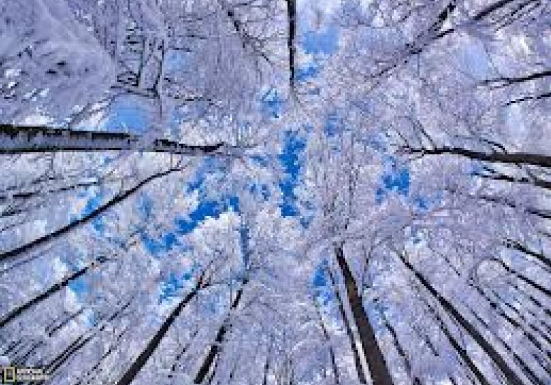 PROGNOZA METEO: Iarna vine după 20 noiembrie