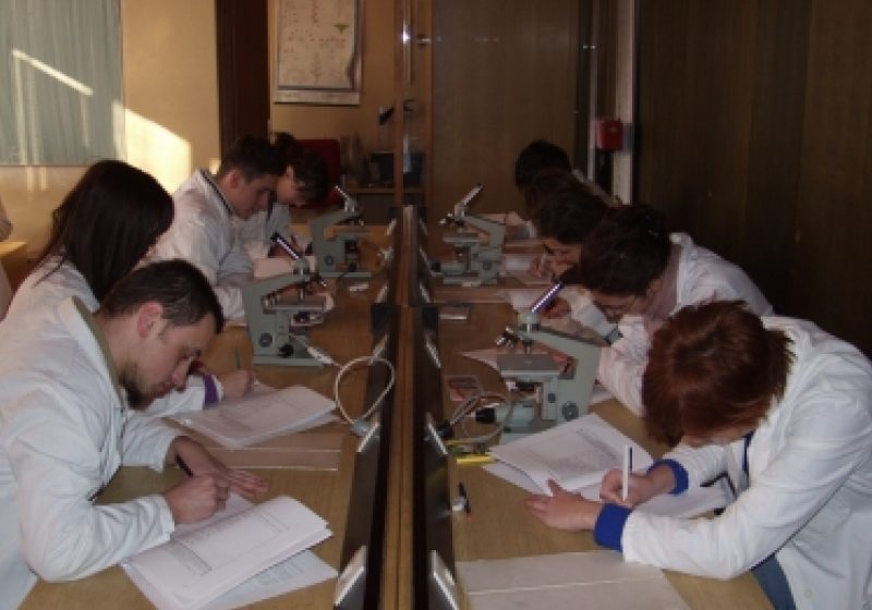 PROIECT MS: Rezidențiatul cuprinde instruire teoretică și practică pe durata a 3 până la 7 ani