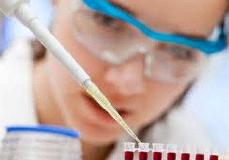 NOUTATE: Sânge artificial creat de cercetători clujeni, testat pe şoareci cu rezultate încurajatoare NOUTATE: Sânge artificial creat de cercetători clujeni, testat pe şoareci cu rezultate încurajatoare