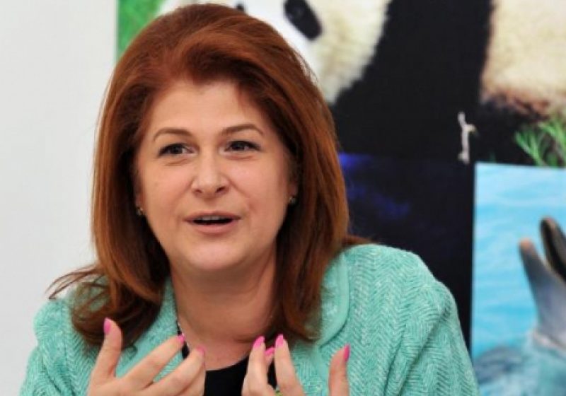 GOSPODINĂ: Rovana Plumb a pregătit sarmale pentru pelerinii de la Iaşi
