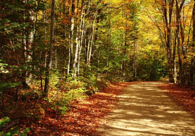 Temperaturi de vară pentru acest weekend. Vezi prognoza