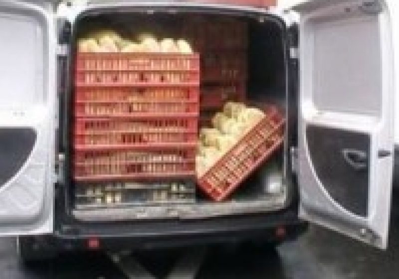 MARAMUREŞ: Poliţiştii continuă verificările privind transportul produselor de panificaţie