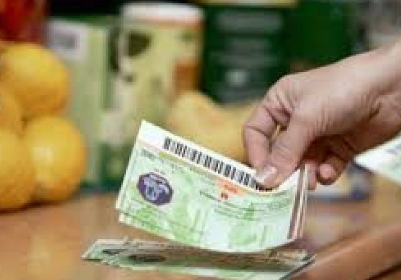 UN NOU PROIECT: Camera adoptă o propunere legislativă privind introducerea tichetelor de masă în format electronic