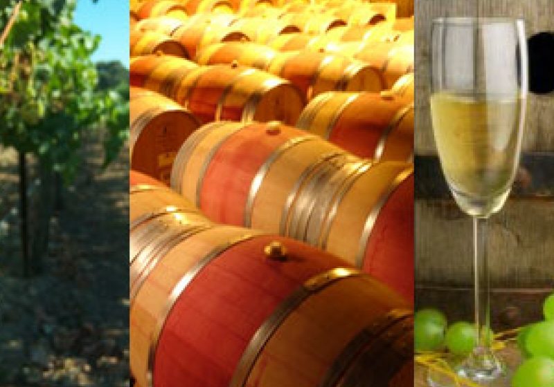 APRECIATE: Casele de vinuri vrâncene s-au impus la Festivalul Internațional "Bachus 2013"