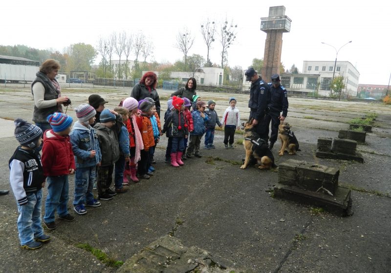 BAIA MARE: Un grup de copii de grădiniţă a vizitat sediul IJJ Maramureş