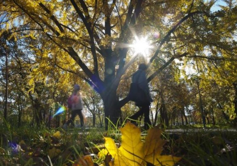 VREMEA se va încălzi. PROGNOZA METEO pentru luni şi marţi, în ţară şi în Bucureşti