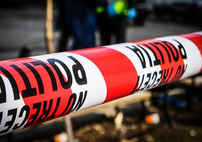SATU MARE: Ucigaşul lui Vivien a fost prins, vezi cine este acesta