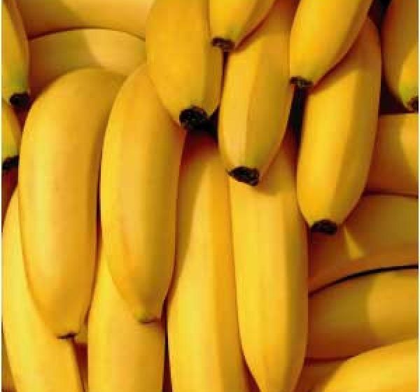 FRAUDĂ: Peste 44 de tone de banane, destinate unei firme cu activitate suspendată, confiscate FRAUDĂ: Peste 44 de tone de banane, destinate unei firme cu activitate suspendată, confiscate