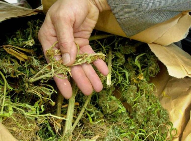 DROGURI: Traficant arestat după ce a fost prins cu un kilogram de canabis