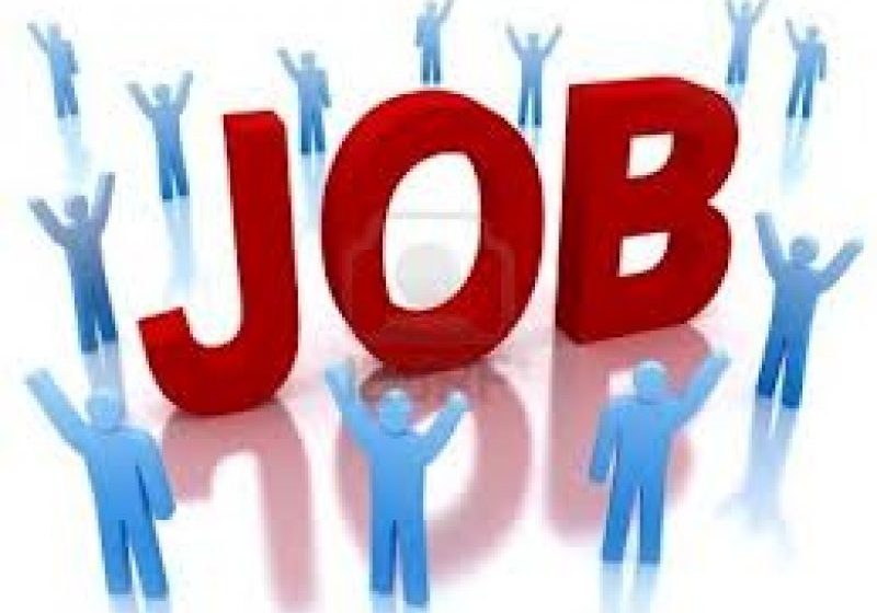 STUDIU: Nesiguranţa şi lipsa interesului pentru job, în topul greşelilor candidaţilor la angajare