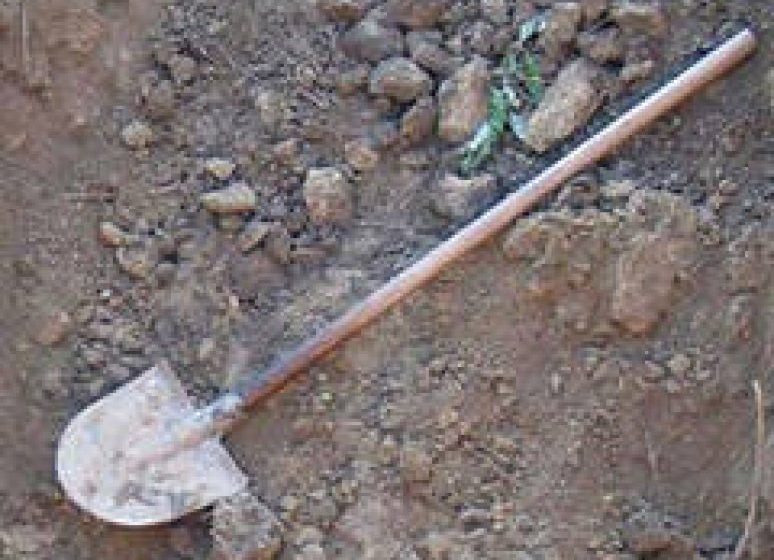 MARAMUREŞ: Bărbat trimis în judecată pentru tentativă la omor … cu lopata