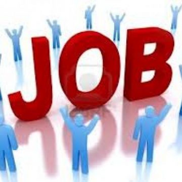 AJOFM: Locuri de muncă vacante în Maramureș