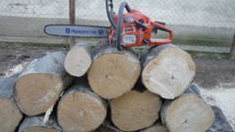 VIŞEU DE SUS: Acţiuni pentru preveniea delictelor silvice VIŞEU DE SUS: Acţiuni pentru preveniea delictelor silvice