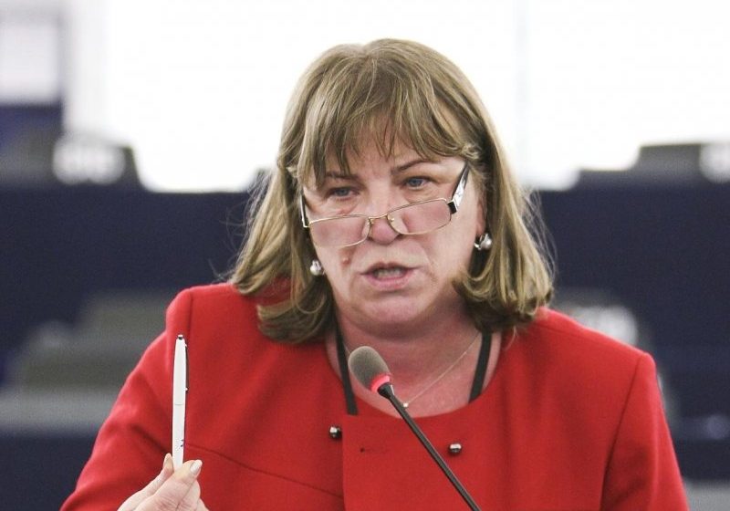 UCRAINA: Norica Nicolai a stipulat într-o Rezoluție a Parlamentului European protejarea drepturilor românilor din Ucraina