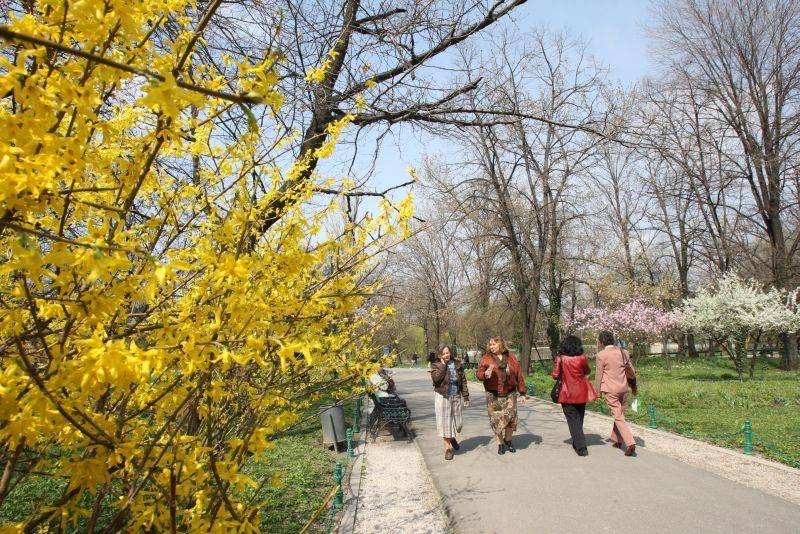 PROGNOZA METEO: Vremea va fi caldă pentru această perioadă PROGNOZA METEO: Vremea va fi caldă pentru această perioadă