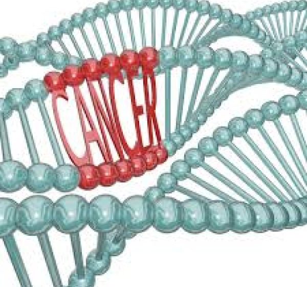 CONCLUZII: Cancer mamar moştenit genetic. Medicamentele anti-estrogen, o posibilă alternativă pentru mastectomie CONCLUZII: Cancer mamar moştenit genetic. Medicamentele anti-estrogen, o posibilă alternativă pentru mastectomie