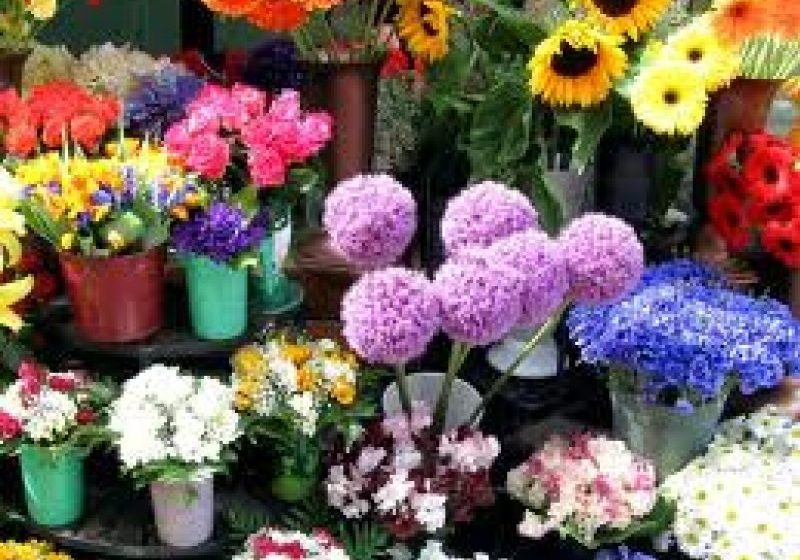 SIGHET: Comercianţii de flori, controlaţi de oamenii legii SIGHET: Comercianţii de flori, controlaţi de oamenii legii