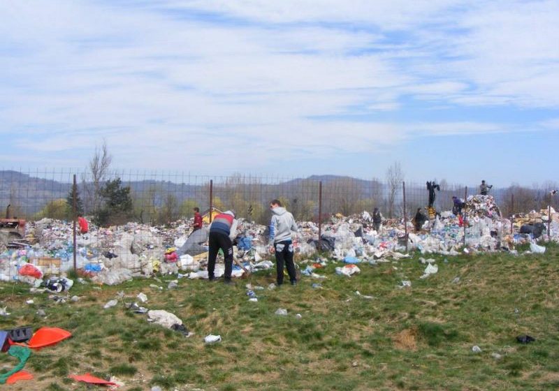 SIGHET: 100 de puieţi de salcâm au fost plantaţi la groapa de gunoi a oraşului, în cadrul proiectului "Perdeaua verde"