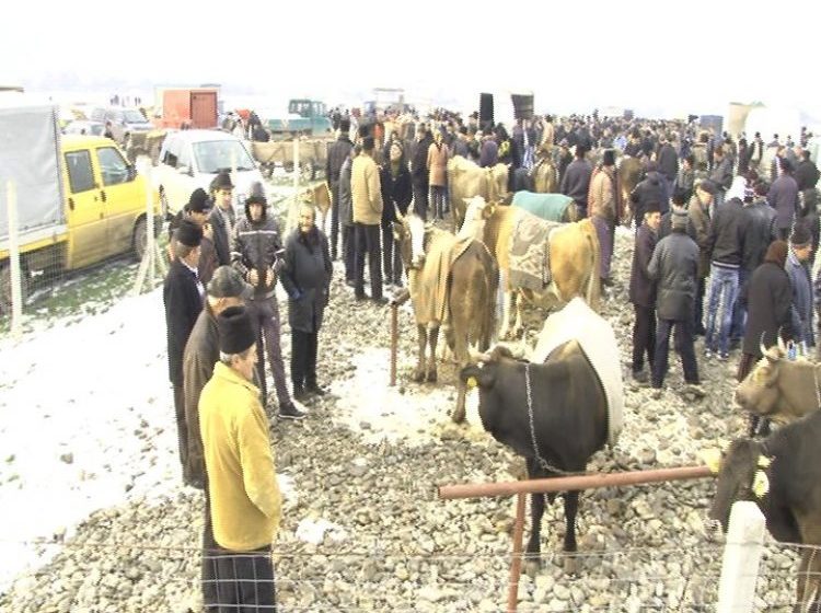 SIGHET: Controale în târgul de animale