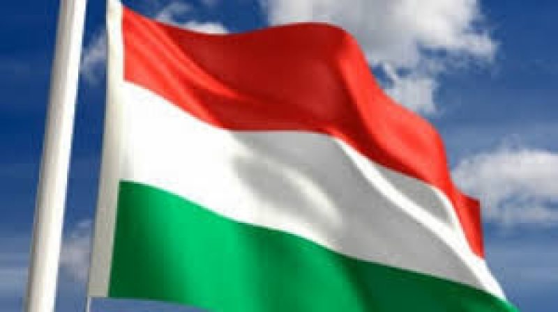 ALEGERI ÎN UNGARIA: Orban obţine o victorie detaşată – exit-polluri ALEGERI ÎN UNGARIA: Orban obţine o victorie detaşată – exit-polluri