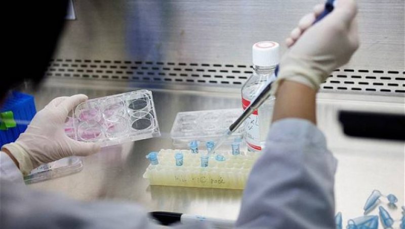 METODĂ REVOLUŢIONARĂ: Clonarea, folosită pentru a produce celule suşă umane METODĂ REVOLUŢIONARĂ: Clonarea, folosită pentru a produce celule suşă umane