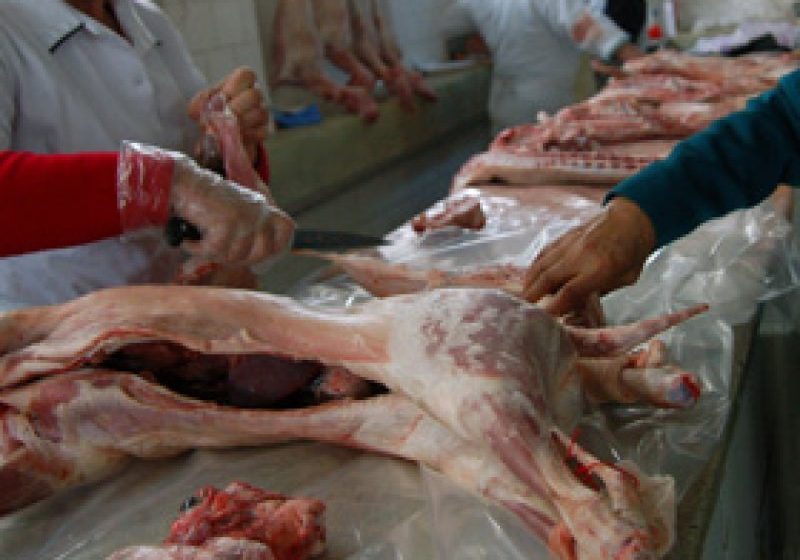 ANSVSA: Consumatorii trebuie să cumpere miei numai din zonele autorizate ANSVSA: Consumatorii trebuie să cumpere miei numai din zonele autorizate