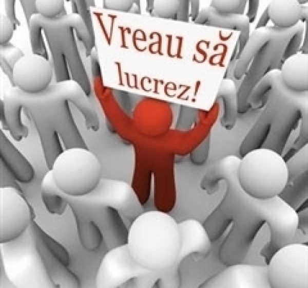 MARAMUREȘ: 166 de locuri de muncă disponibile, dintre care 44 în Sighet