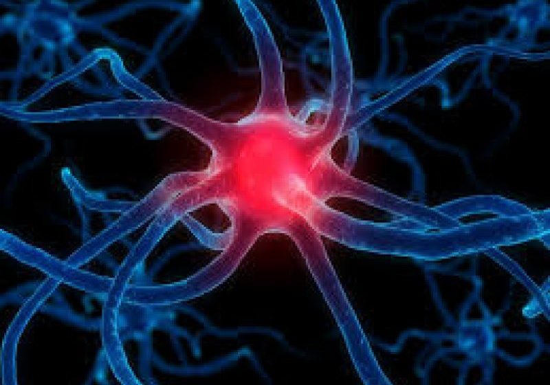 TRATAMENTUL unui bolnav de Parkinson – 3.000 de lei pe lună, o operaţie între 30.000 şi 80.000 lei TRATAMENTUL unui bolnav de Parkinson – 3.000 de lei pe lună, o operaţie între 30.000 şi 80.000 lei