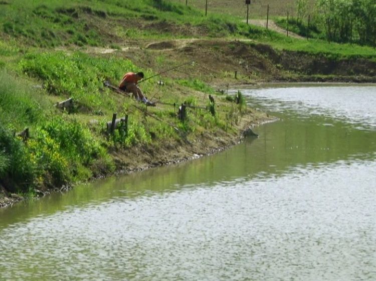 MARAMUREȘ: Concurs pentru pescari în 2 mai MARAMUREȘ: Concurs pentru pescari în 2 mai