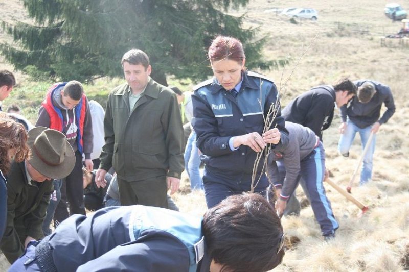 MARAMUREŞ: Poliţiştii s-au alăturat campaniei „Luna plantării arborilor” MARAMUREŞ: Poliţiştii s-au alăturat campaniei „Luna plantării arborilor”