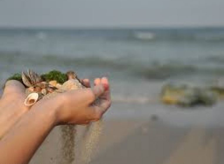 ANTIDROG:Deţinători şi traficaţi de droguri, prinşi în Vama Veche şi Mamaia ANTIDROG:Deţinători şi traficaţi de droguri, prinşi în Vama Veche şi Mamaia
