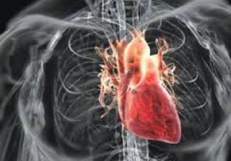 STUDIU: Mutaţiile unei gene reduc cu 40% riscul de boli cardiovasculare STUDIU: Mutaţiile unei gene reduc cu 40% riscul de boli cardiovasculare