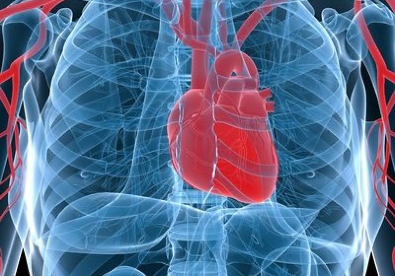 SĂNĂTATE: Persoanele cu o sănătate cardiovasculară precară sunt mai susceptibile să aibă probleme de memorie