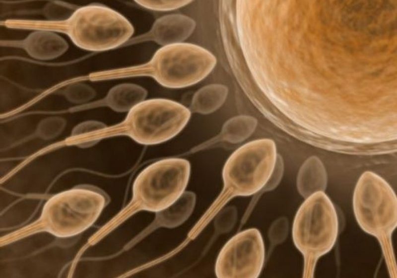 DECIZII:  Între 20 şi 25 la sută dintre cupluri au probleme de infertilitate, multe nu ştiu
