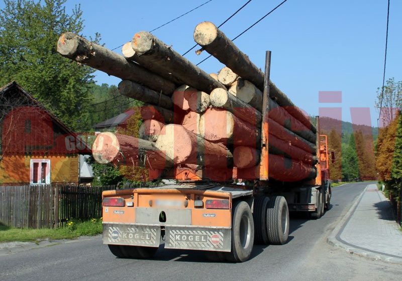 MARAMUREŞ: Verificări pentru combaterea delictelor silvice şi a transportului ilegal de material lemnos MARAMUREŞ: Verificări pentru combaterea delictelor silvice şi a transportului ilegal de material lemnos