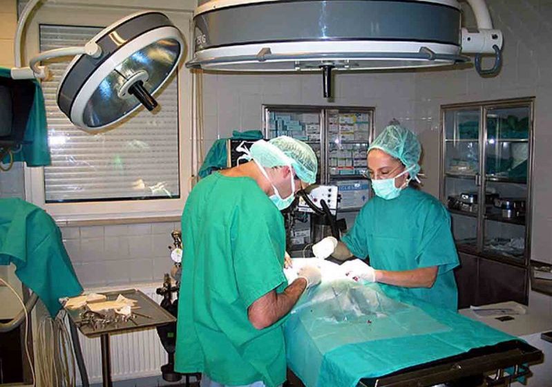BAIA MARE:  Program de screening medical gratuit, la care sunt așteptați peste 500 de vârstnici