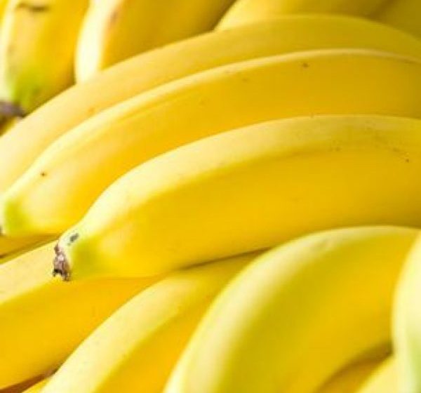 PRODUCŢIE: O banană modificată genetic va fi testată clinic pentru comercializare PRODUCŢIE: O banană modificată genetic va fi testată clinic pentru comercializare