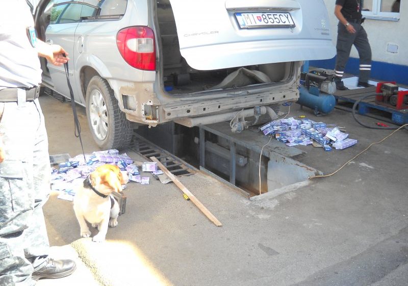 MARAMUREȘ: Inspectorii vamali au descoperit 11.600 ţigarete de provenienţă ucraineană MARAMUREȘ: Inspectorii vamali au descoperit 11.600 ţigarete de provenienţă ucraineană