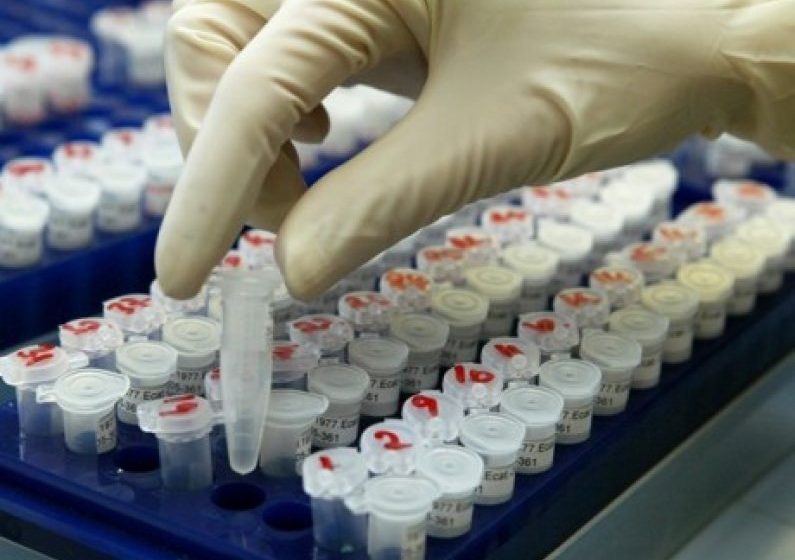 10 cazuri de infectare cu coronavirus în Maramureș în ultimele 24 de ore 10 cazuri de infectare cu coronavirus în Maramureș în ultimele 24 de ore