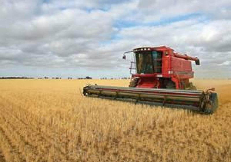 ECONOMIC: Exporturile de grâu ale Uniunii Europene sunt pe cale să stabilească un nou record