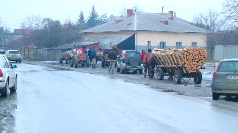 SIGHET: Cu toate că riscă amenzi de până la 5000 de lei, căruţaşii îşi văd de ale lor SIGHET: Cu toate că riscă amenzi de până la 5000 de lei, căruţaşii îşi văd de ale lor