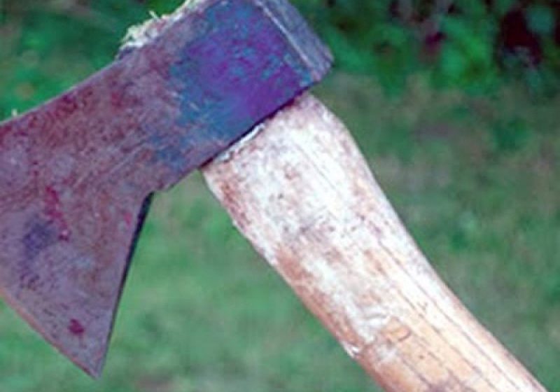 BAIA MARE: Copiii adolescentei de 17 ani lovite cu toporul în cap de iubitul ei au fost lăsați în grija unei mătuși BAIA MARE: Copiii adolescentei de 17 ani lovite cu toporul în cap de iubitul ei au fost lăsați în grija unei mătuși