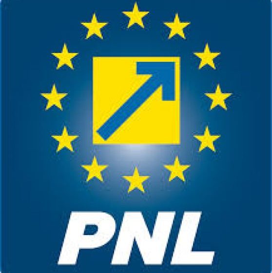 EDITORIAL: PNL, de ce te-ai intoarce? Marele test